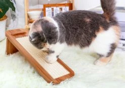 Highland -Pet Supplies Sales Shop 0fdb93 5389a3c1003d485db30f9e0f92282426 mv2 26b10e99 5f5c 4a47 bf93 77438f3f96e8