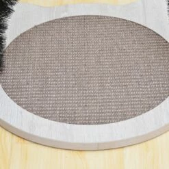 Nifty -Pet Supplies Sales Shop 0fdb93 65581f13550c49d6a6d7e86f156deff2 mv2 2774eb25 b147 43eb 8049 53204313f87d