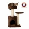 Armarkat F3005 Carpeted Cat Tree Condo, Kitten Activity Tree, Brown -Pet Supplies Sales Shop 1 2581af77 55ac 4da3 95e0 22ff6dae6270