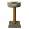 SPHN Sisal Pole With Cat Bed 1 SPHN Sisal Pole With Cat Bed -Pet Supplies Sales Shop 284934 MAIN 600266d5 ca47 4c99 ab16 09056240ee25