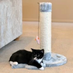 Armarkat Mouse Shape Cat Scratcher Toy, Sisal Scratching Post For Kitty TraInIng -Pet Supplies Sales Shop 3 296c7f1f 2efb 421c 9d43 1931dfa9e4ca