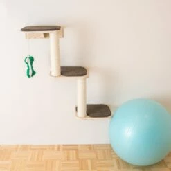 Armarkat Wall Series: Steps W1907C -Pet Supplies Sales Shop 3 986fd7f3 4c29 4c25 bb44 6a270717950c