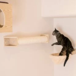 Armarkat Wall Series: Scratching Post W1907D -Pet Supplies Sales Shop 3 ad36edee 90c0 4ab3 9f2e dc8bfedf14f1