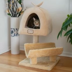 Armarkat X3007 Cat Condo, Cat Scratching Post With Plush Condo, Cuddle -Pet Supplies Sales Shop 3 b49783fc 03b5 4e5e 8d2c 45b98d36205a