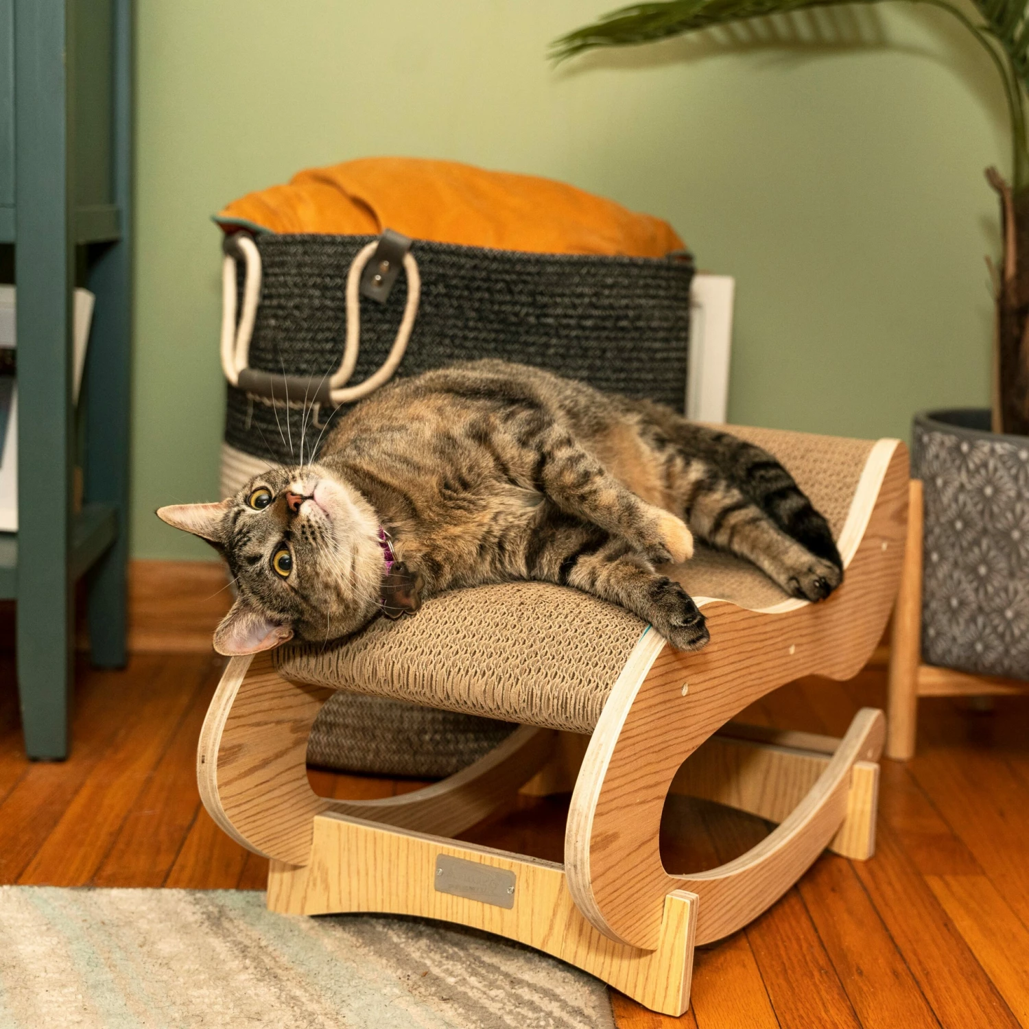 Armarkat Real Wood Medium Wooden Cat Rocking Chair, Detachable Cat Swing Chair 4 Armarkat Real Wood Medium Wooden Cat Rocking Chair, Detachable Cat Swing Chair - Image 2