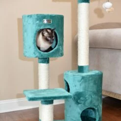 Armarkat Cat Tree Condo House With 2 Private Condos 43" Green A4301 -Pet Supplies Sales Shop 4 0ace7676 c129 48cb b8f9 64922831ee2a