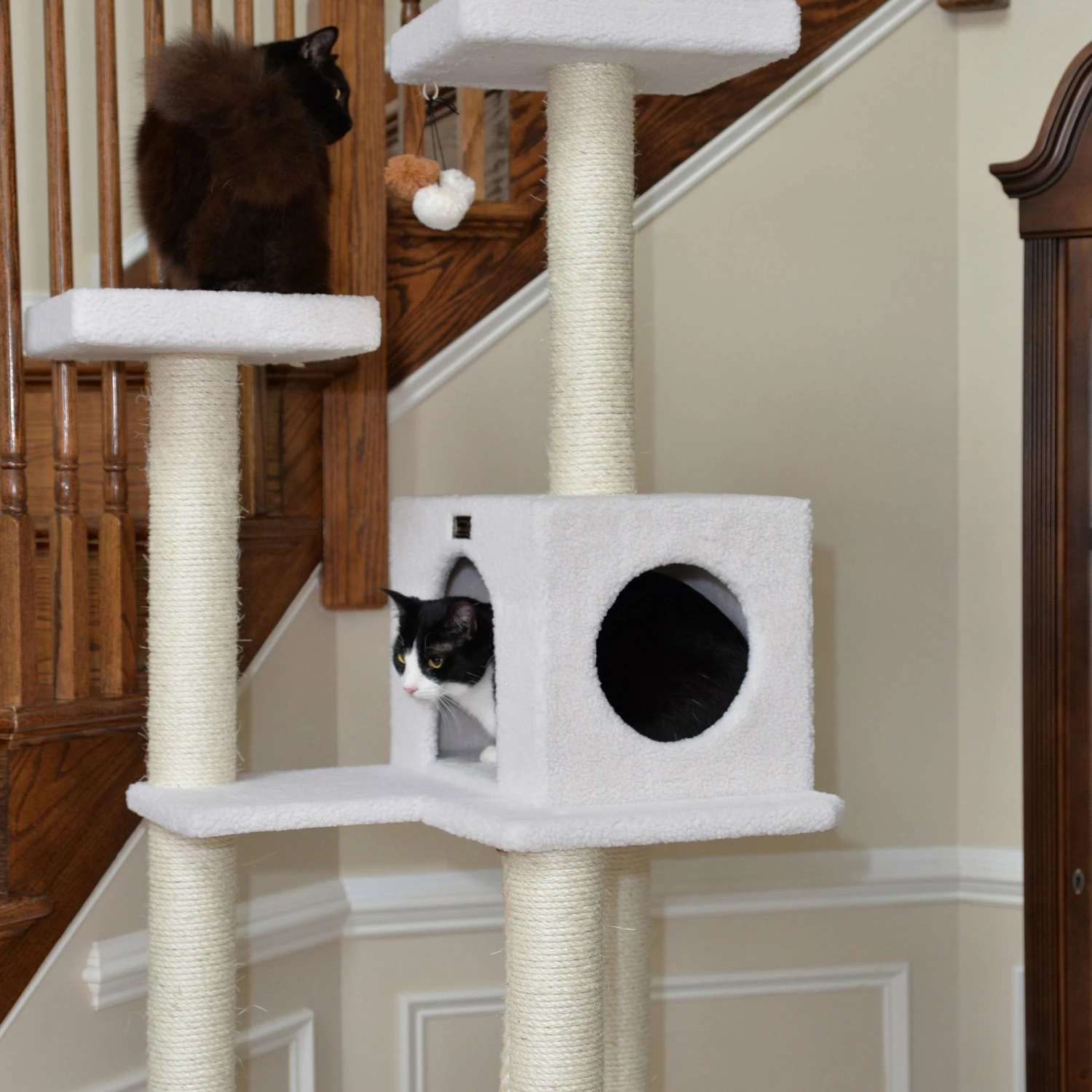 Armarkat B7301 Classic Cat Tree In Ivory, Jackson Galaxy Approved, Four Levels With Rope SwIng, Hammock, Condo, And Perch 6 Armarkat B7301 Classic Cat Tree In Ivory, Jackson Galaxy Approved, Four Levels With Rope SwIng, Hammock, Condo, And Perch - Image 4