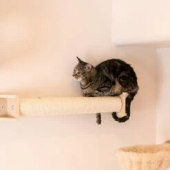 Armarkat Wall Series: Scratching Post W1907D -Pet Supplies Sales Shop 4 6cced00a abc7 403a bbde be859f7c6c4c