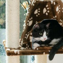 Armarkat Cat Tree Hammock Bed With Natural Sisal Post For Cats And Kittens, A6601 -Pet Supplies Sales Shop 4 73e10cdf 29df 4b01 94d2 c19716d9794a