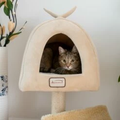 Armarkat X3007 Cat Condo, Cat Scratching Post With Plush Condo, Cuddle -Pet Supplies Sales Shop 4 a7381910 3365 4de0 8a20 05478ab238fe