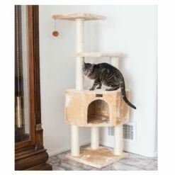 Armarkat 3 Levels Cat Tower For Kittens Play 48 Height Beige A4801 -Pet Supplies Sales Shop 4 b0c7e991 de11 4d65 b119 6ca003d15979