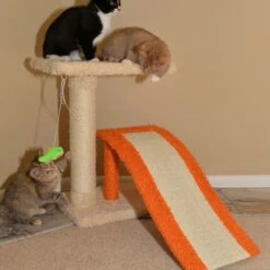 Two-Level Platform Scratcher W Sisal Carpet Ramp -Pet Supplies Sales Shop 4 d4687440 4076 4e7b bf49 82983a12ec79