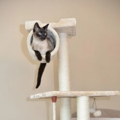 Armarkat 62" Cat Tree With Scratch Posts, Hammock For Cats And Kittens A6202 -Pet Supplies Sales Shop 4 e84703c0 243b 4755 bdc8 512682881eff