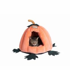 Armarkat Cat Bed C85CCS PumpkIn Shape 11 Armarkat Cat Bed C85CCS PumpkIn Shape -Pet Supplies Sales Shop 5 4eb27901 e07b 4ee1 b090 ae97cdf356bd