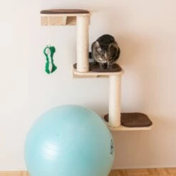 Armarkat Wall Series: Steps W1907C -Pet Supplies Sales Shop 5 ab76d768 ffaf 437f bef7 8aee23aa6322