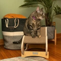 Armarkat Real Wood Medium Wooden Cat Rocking Chair, Detachable Cat Swing Chair 10 Armarkat Real Wood Medium Wooden Cat Rocking Chair, Detachable Cat Swing Chair -Pet Supplies Sales Shop 5 cab4f7f4 400d 4b88 aeb4 f7b3114f5181