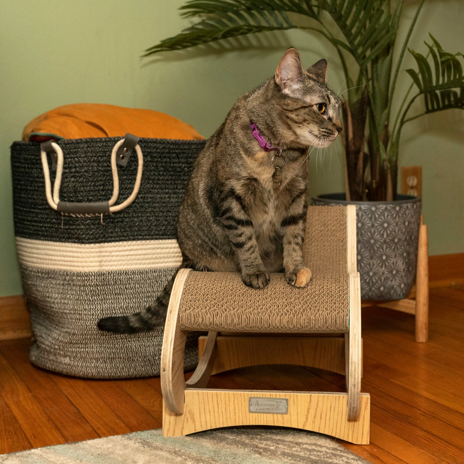 Armarkat Real Wood Medium Wooden Cat Rocking Chair, Detachable Cat Swing Chair 5 Armarkat Real Wood Medium Wooden Cat Rocking Chair, Detachable Cat Swing Chair - Image 3