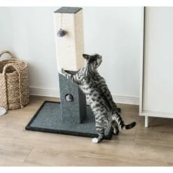 Natural Minimalist Cat Scratching Post -Pet Supplies Sales Shop 842ae221 b001 45de 98b8 4fd64a9b6b7b.a0b7a74ab9d56a49bec9c7bf97264310
