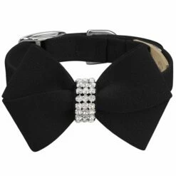 Nouveau Bow 1/2" Cat Collar -Pet Supplies Sales Shop Black Cat Collar Black Nouveau Bow FT