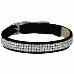 3 Row Giltmore 1/2" Cat Collar -Pet Supplies Sales Shop Black3RowGiltmore CatCollar FT