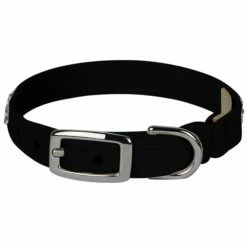 Crystal Rocks 1/2" Cat Collar -Pet Supplies Sales Shop BlackCrystalRocks CatCollar BK