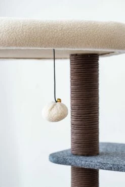 Lifted 14 Lifted -Pet Supplies Sales Shop CT18308A 5