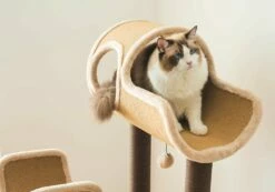 Camel -Pet Supplies Sales Shop CT18382 09