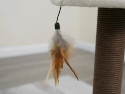 Nirvana -Pet Supplies Sales Shop CT18528A 2 1