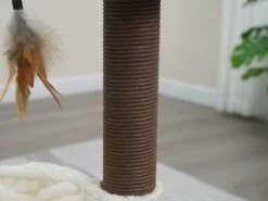 Nirvana -Pet Supplies Sales Shop CT18528A 3 1