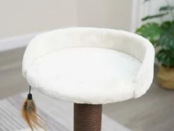 Natural Cozy -Pet Supplies Sales Shop CT18528 1 1 afc32aa3 a029 476f bd23 81f9c7fc91b7