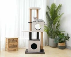 Felina -Pet Supplies Sales Shop CT19076 6