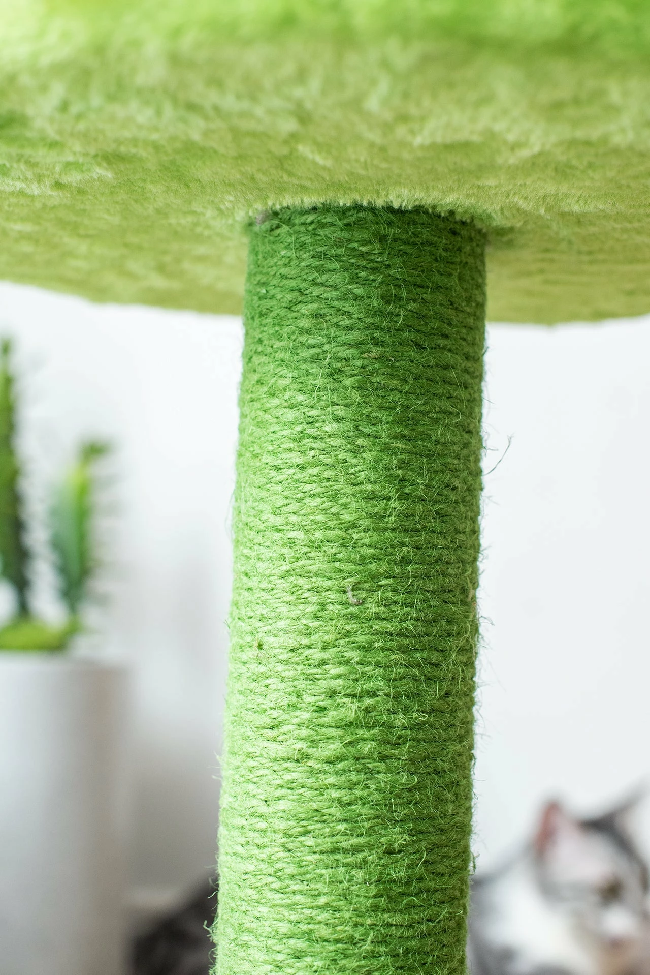 Sunflower 11 Sunflower - Image 9