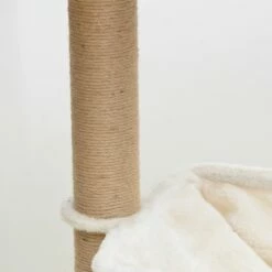 Oak 13 Oak -Pet Supplies Sales Shop CT210197 5