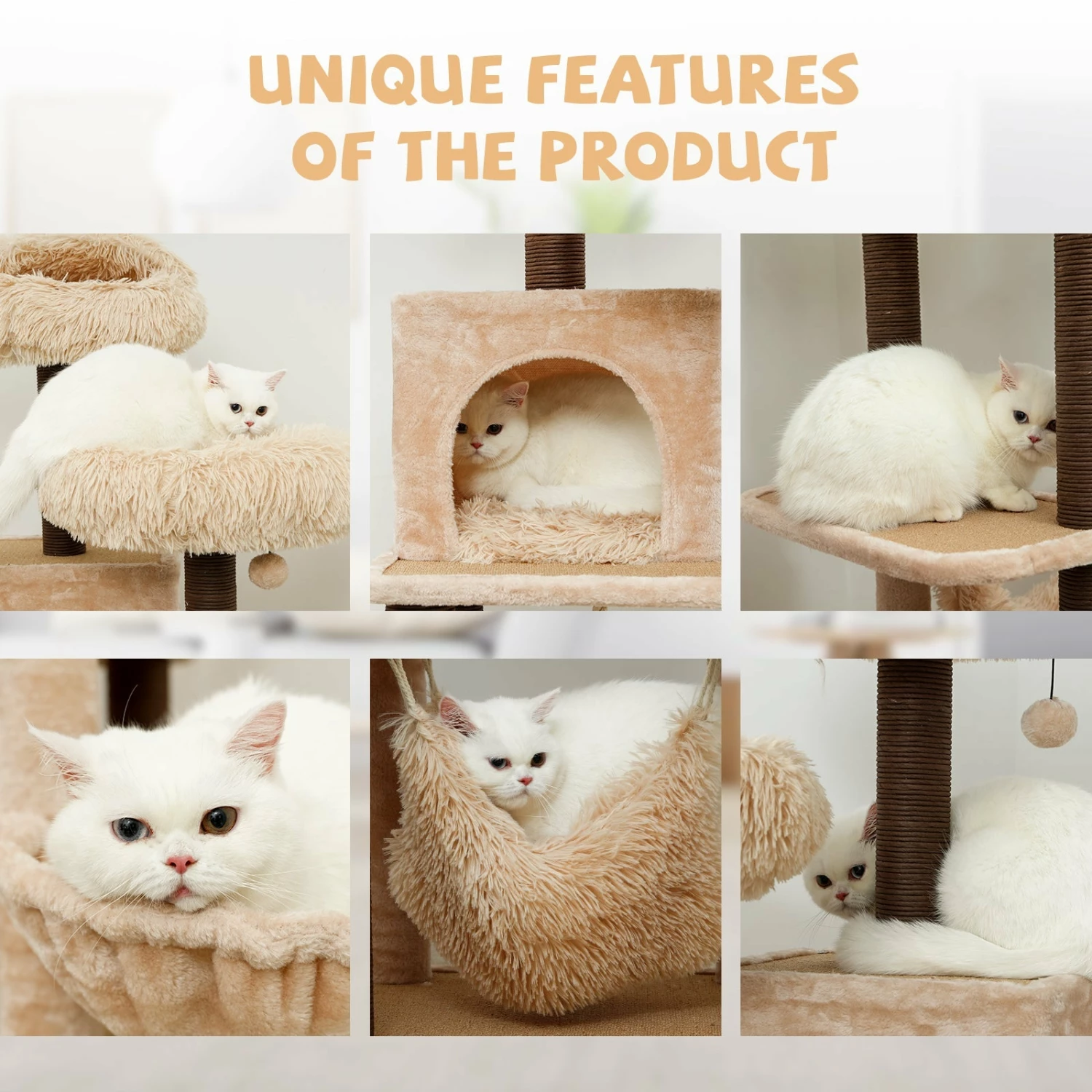 Meerkat 5 Meerkat - Image 3