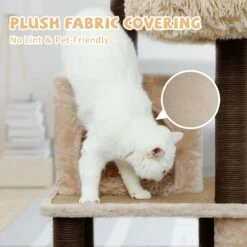 Meerkat 14 Meerkat -Pet Supplies Sales Shop CT210353 2