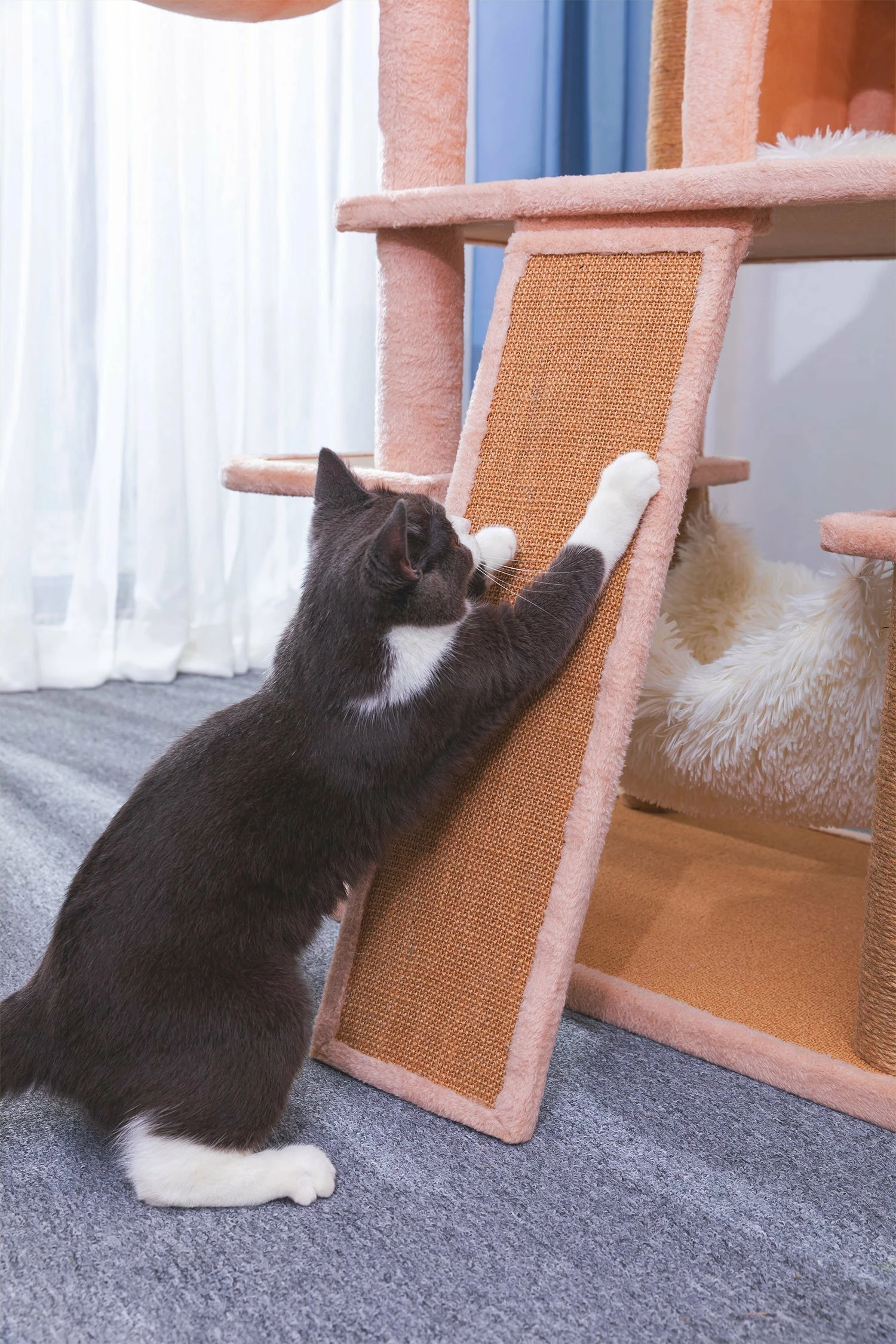 Castle 11 Castle - Image 9