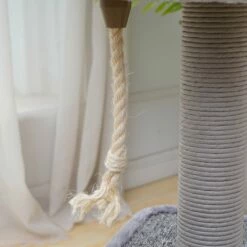 Grimbit -Pet Supplies Sales Shop CT220317 5