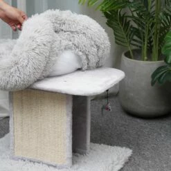 Ivory -Pet Supplies Sales Shop CT220421 4 2