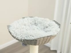 Leon 12 Leon -Pet Supplies Sales Shop DSC00042