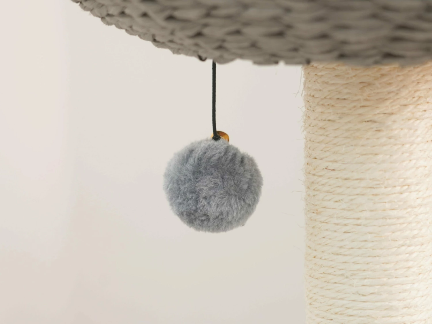 Leon 6 Leon - Image 4