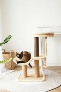 Cradle - Beige -Pet Supplies Sales Shop DSC 3767