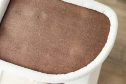 Isla -Pet Supplies Sales Shop DSC 8390