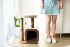 Isla -Pet Supplies Sales Shop DSC 8779