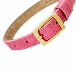 H&R Embossed Collar In Barbie Pink -Pet Supplies Sales Shop Embossed Barbie Pink 3 bcb2a59f e0e5 4e5a 9ed4 7592b5507baa