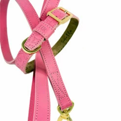 H&R Embossed Collar In Barbie Pink -Pet Supplies Sales Shop Embossed Barbie Pink 5 00b9ea20 312e 40e8 b902 ec6c3b890d7a