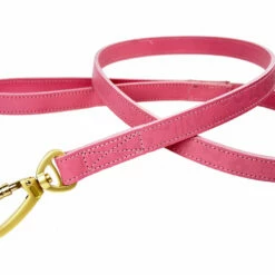 H&R Embossed Lead In Barbie Pink -Pet Supplies Sales Shop Embossed Barbie Pink 6 8b3cf575 f105 47eb a6e1 dce8af1992ec