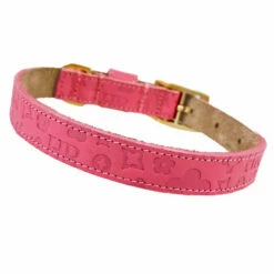 H&R Embossed Collar In Barbie Pink -Pet Supplies Sales Shop Embossed Barbie Pink Reverse 51d37a33 de7e 4a07 ba02 494590b160a8