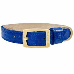 H&R Embossed Collar In Cobalt Blue