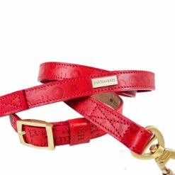 H&R Embossed Collar In Tomato Red -Pet Supplies Sales Shop Embossed Red 3 a9d2ea41 e896 4022 b5a3 19dea5cb2b81