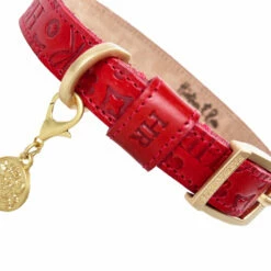 H&R Embossed Collar In Tomato Red -Pet Supplies Sales Shop Embossed Red 4 9bc6b94e dc2a 425b b6ed 788423a7457b